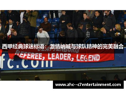 西甲经典球迷标语：激情呐喊与球队精神的完美融合