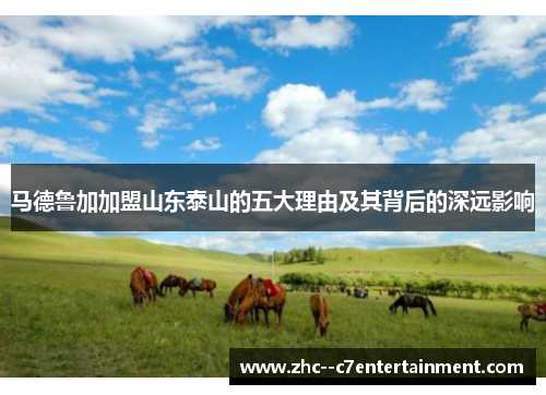 马德鲁加加盟山东泰山的五大理由及其背后的深远影响